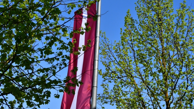 Latvijas karogs un koki