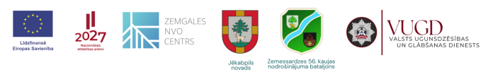 logo ansamblis