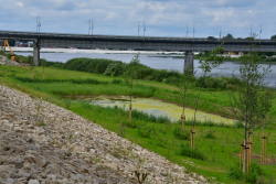 Jēkabpils dambis