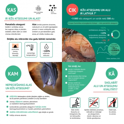 Dabas skaitīšanas dati - infografika par alām un atsegumiem