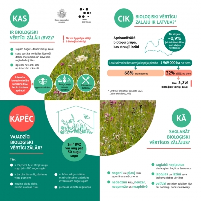 Dabas skaitīšanas dati - infografika par pļavām