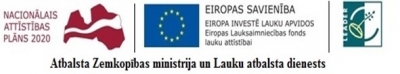 LEADER logo