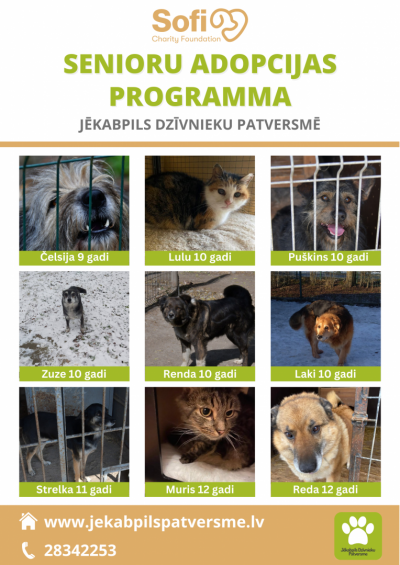 Suņi un kaķi- seniori
