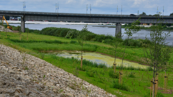 Jēkabpils dambis