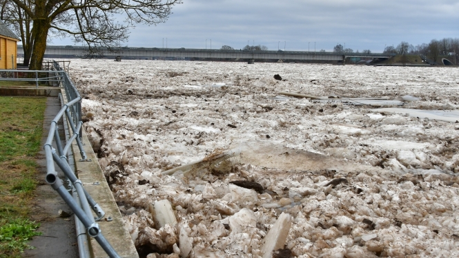 Ilustratīvi Daugava pie Jēkabpils , labais krasts