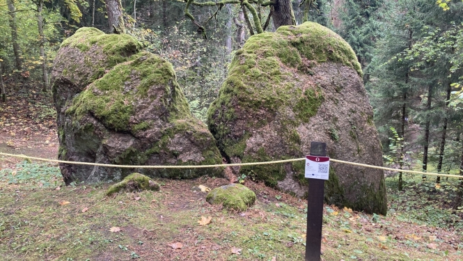 Gārsenes parks