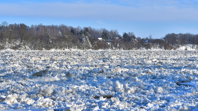 Daugava 