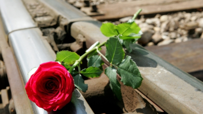 Roze uz sliedēm