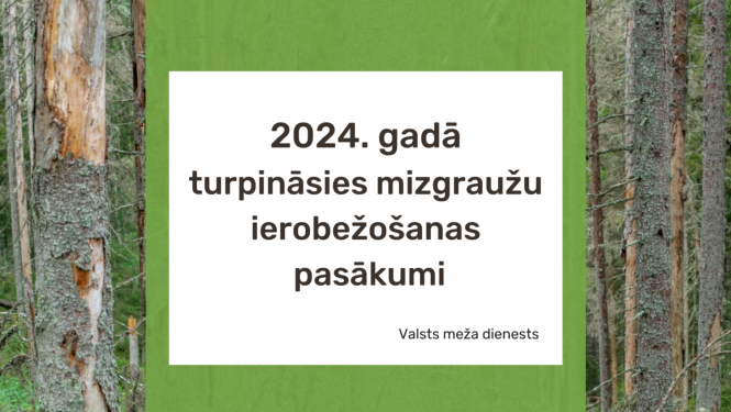 Mizgraužu ierobežošanas pasākumi