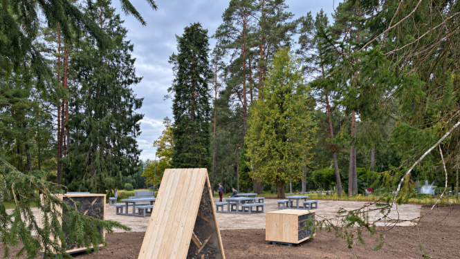 rubeņi
