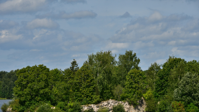 Sēlpils pilsdrupas