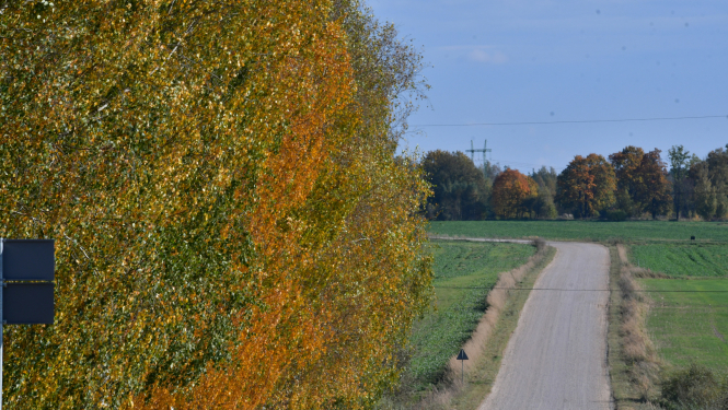 rudens