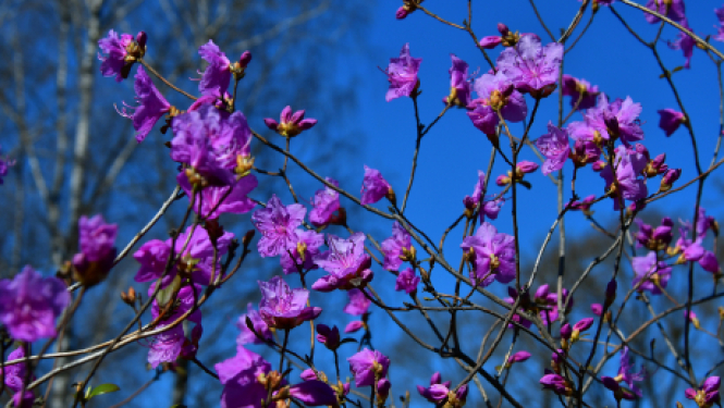Pašvaldības nedēļas plāns 19.04.-25.04.