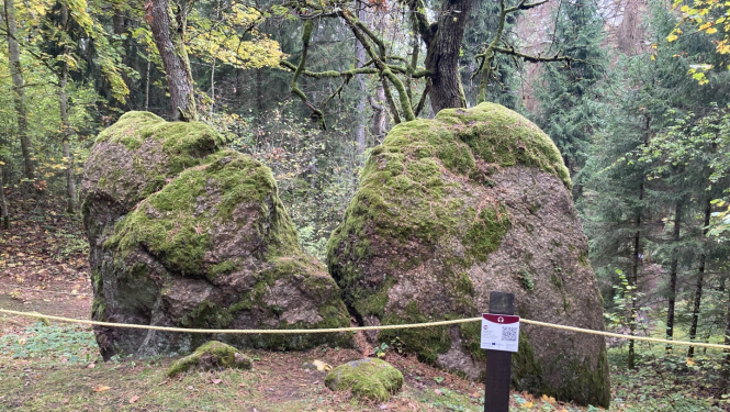 Gārsenes parks