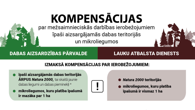 plakāts