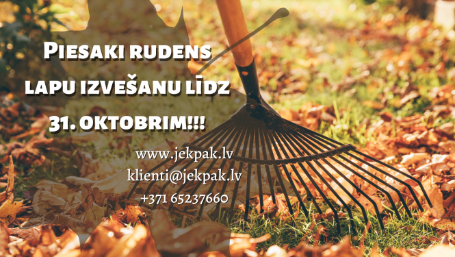 Rudens lapas