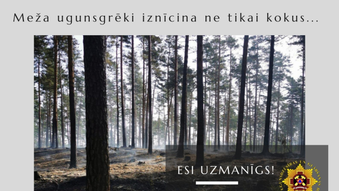 Plakāts par ugunsbīstamību mežos