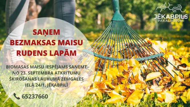 MAisi lapām