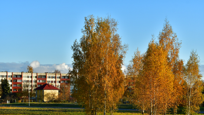 Māja