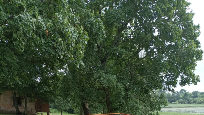 Marinzejas parks
