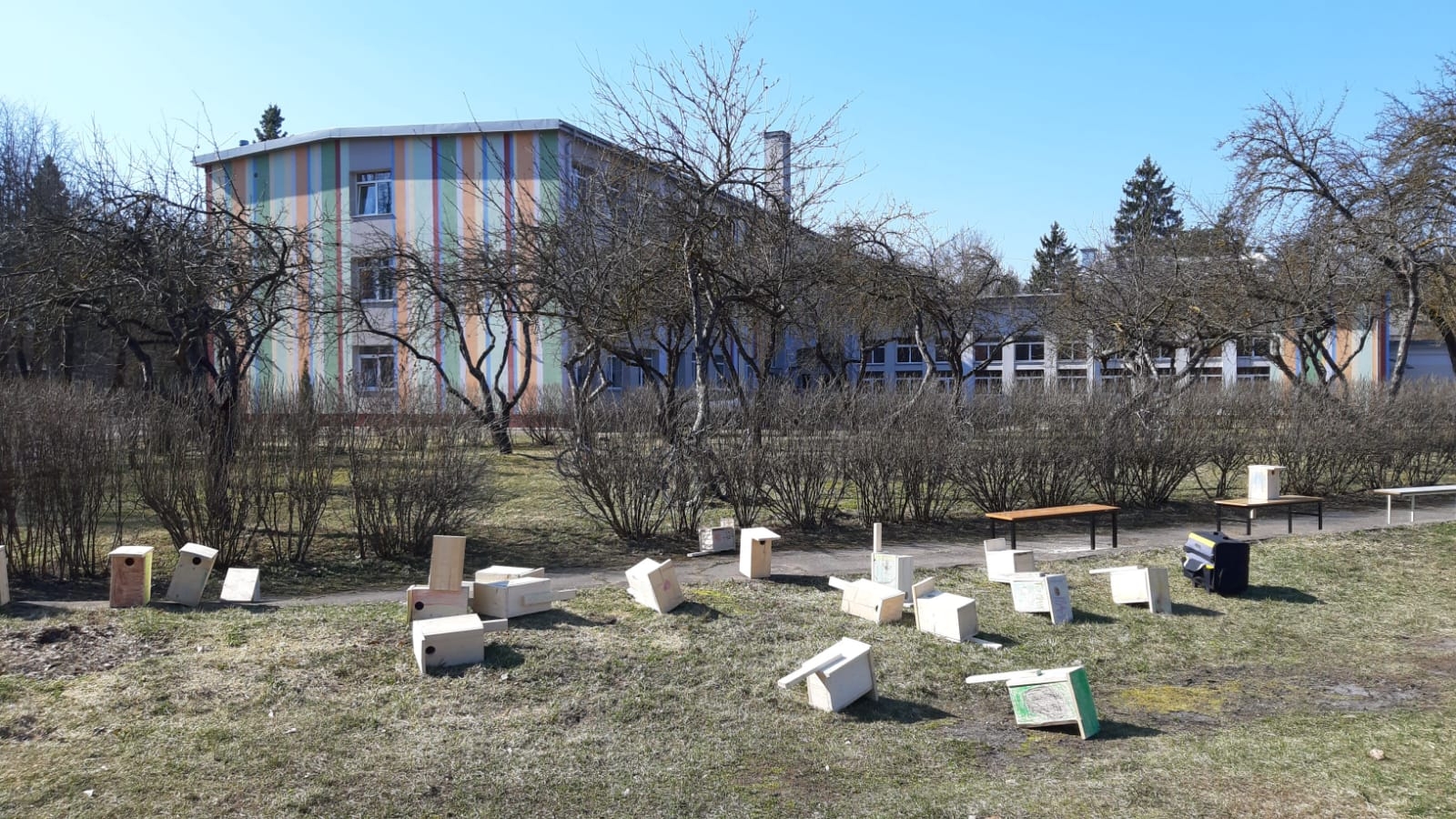 Karjeras atbalsts vispārējās un profesionālās izglītības iestādēs