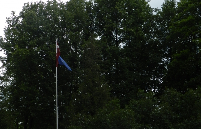 Rietumu tūja