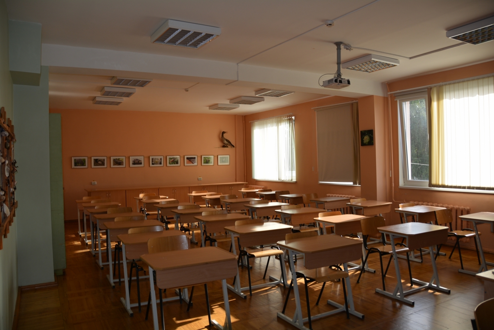 skola