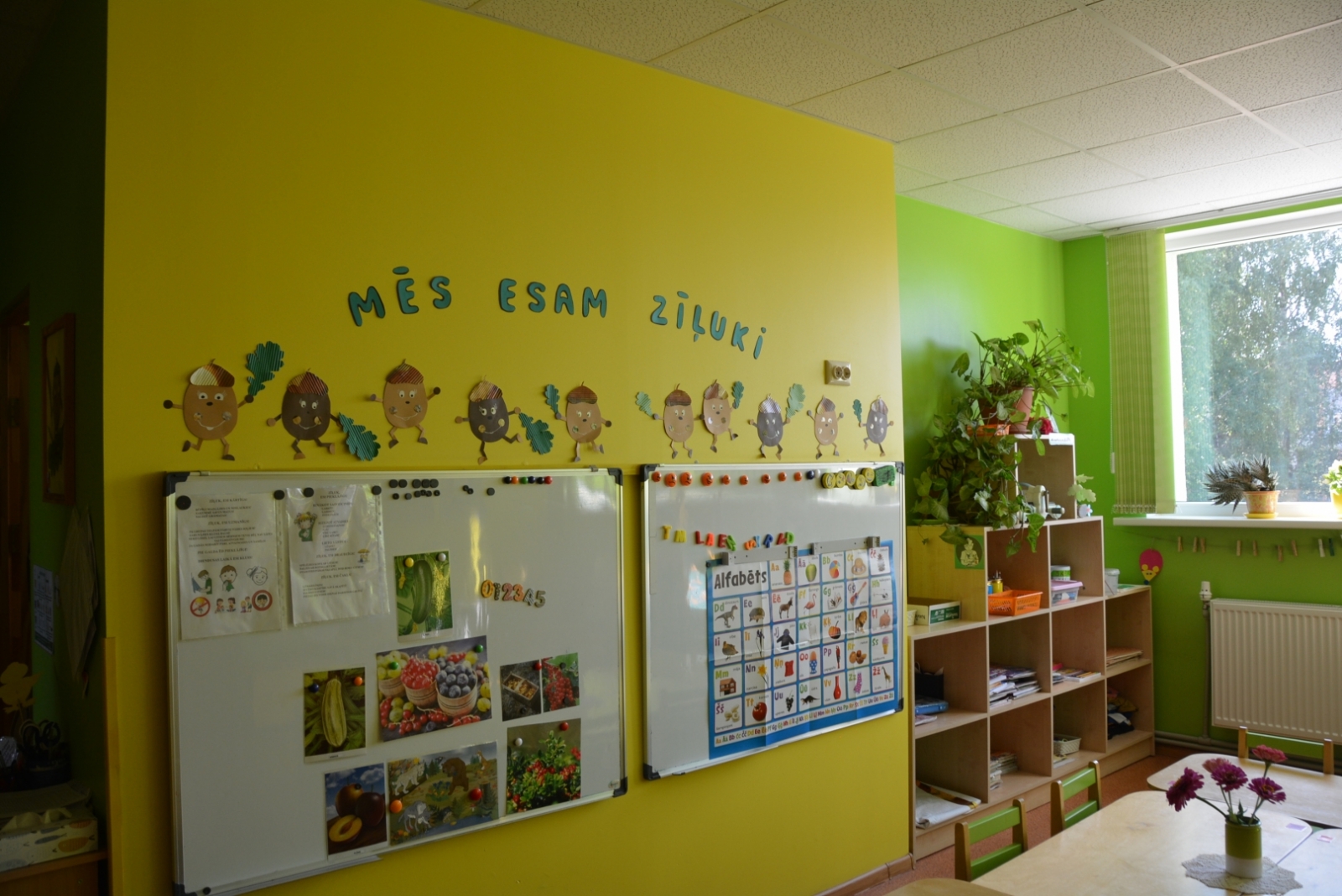 skola