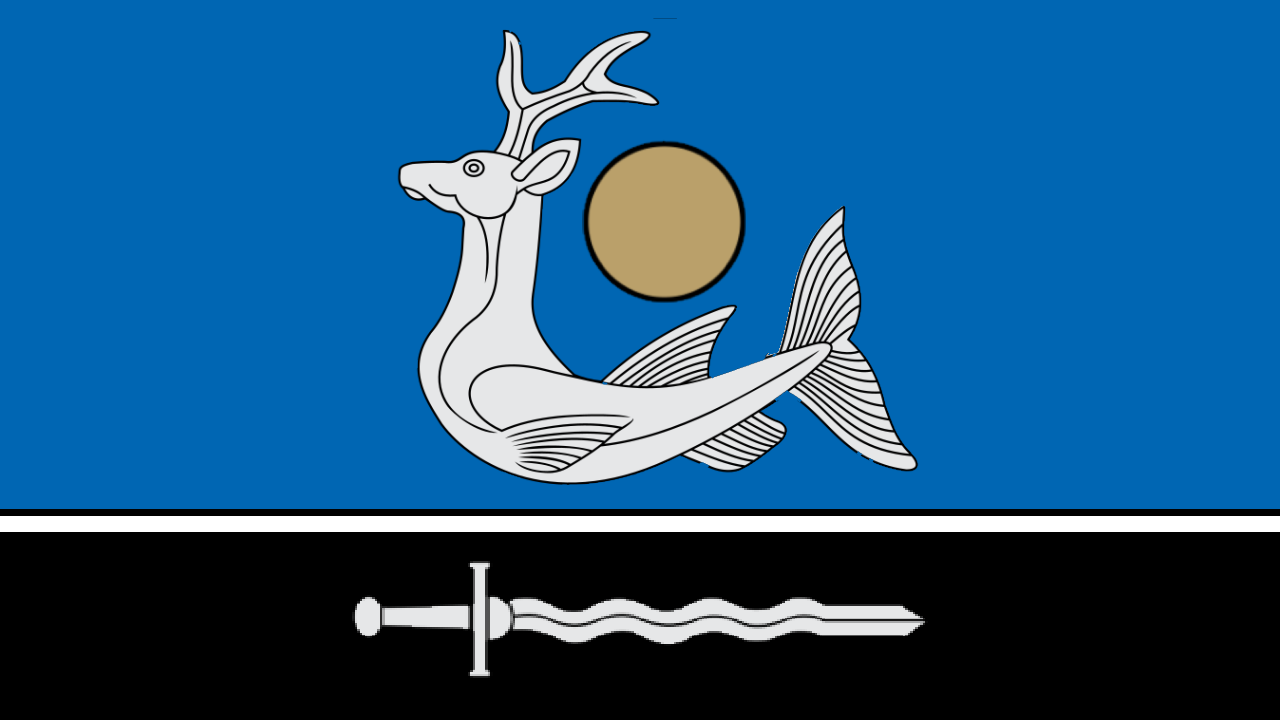 Zarasai karogs