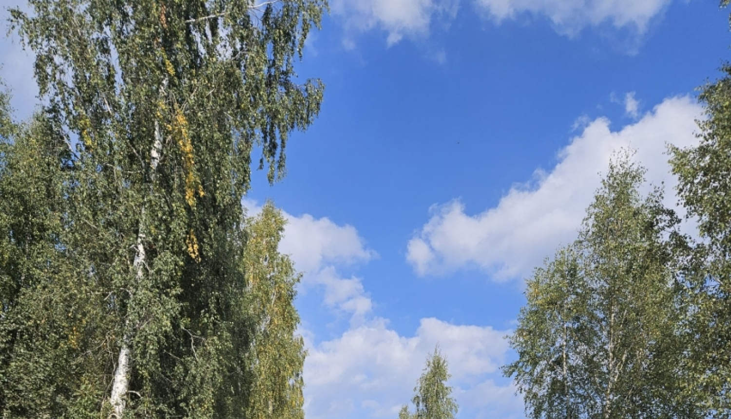 ceļš