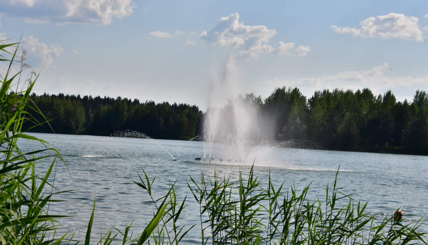 strūklaka
