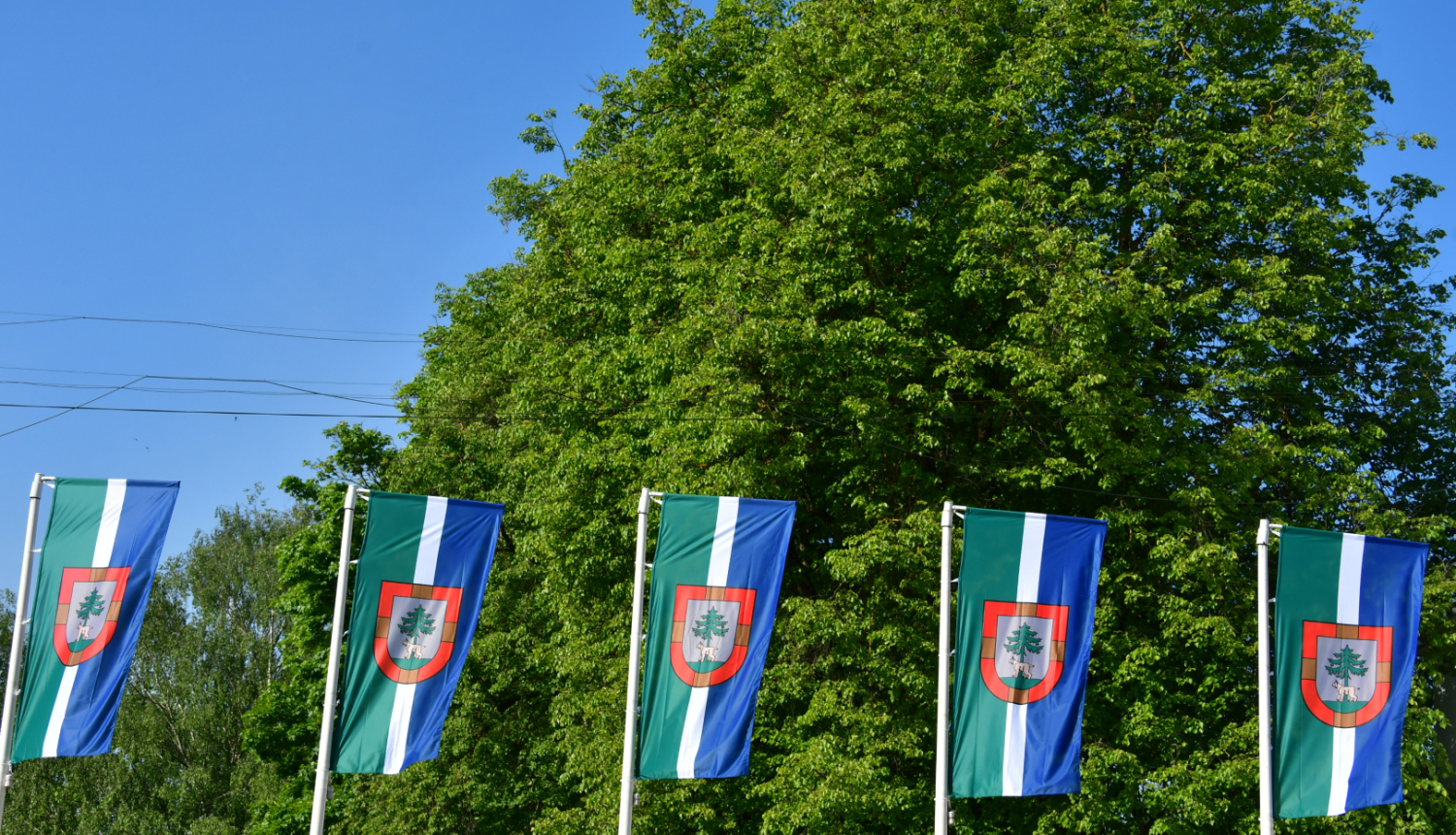 Jēkabpils novada karogi