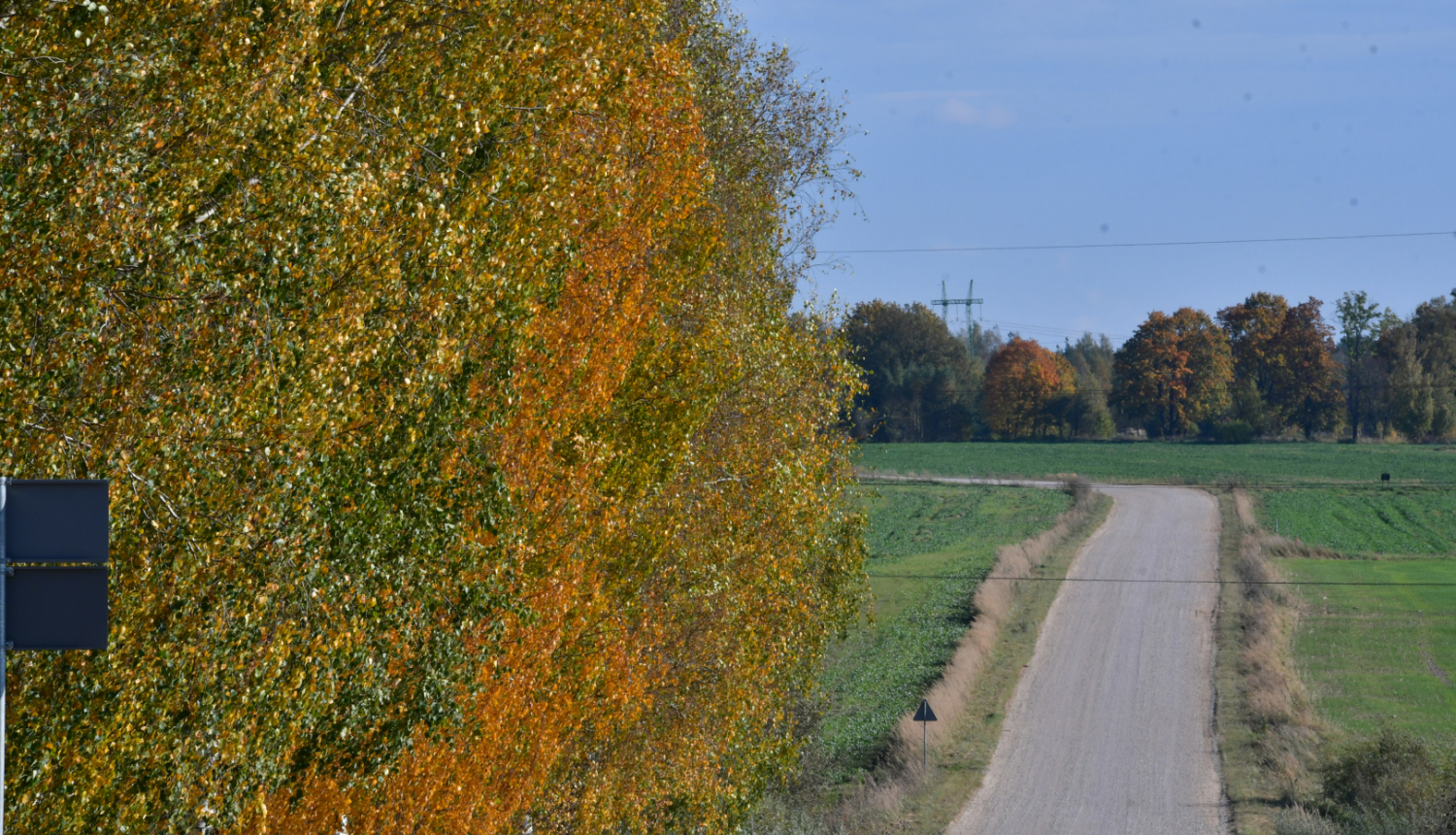 rudens