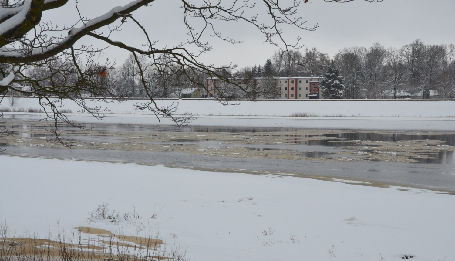 Daugavas skats