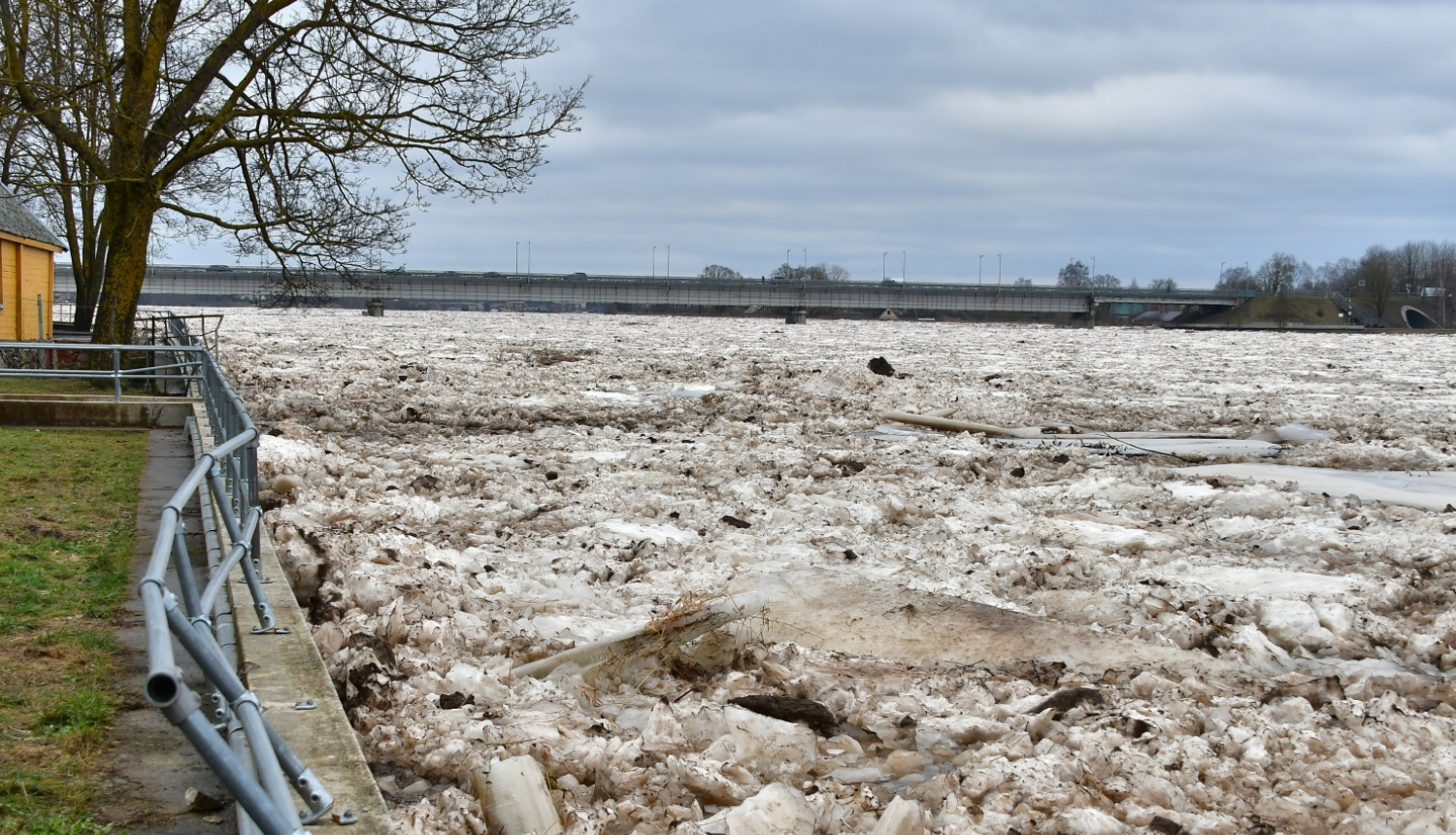 Ilustratīvi Daugava pie Jēkabpils , labais krasts