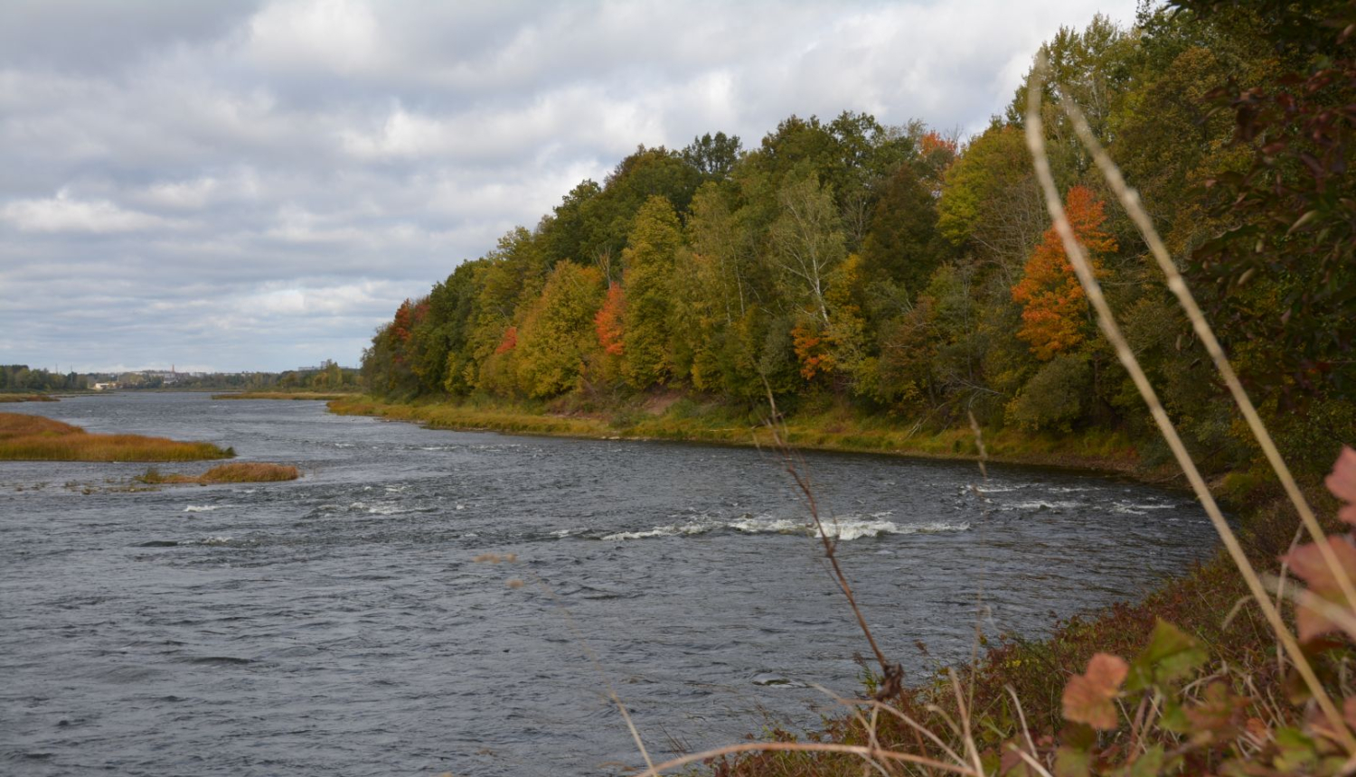 Daugava