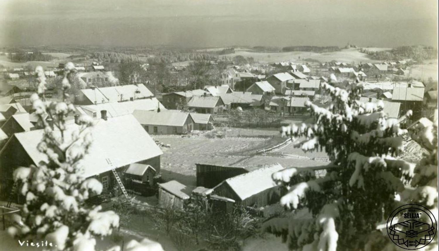 Viesīte