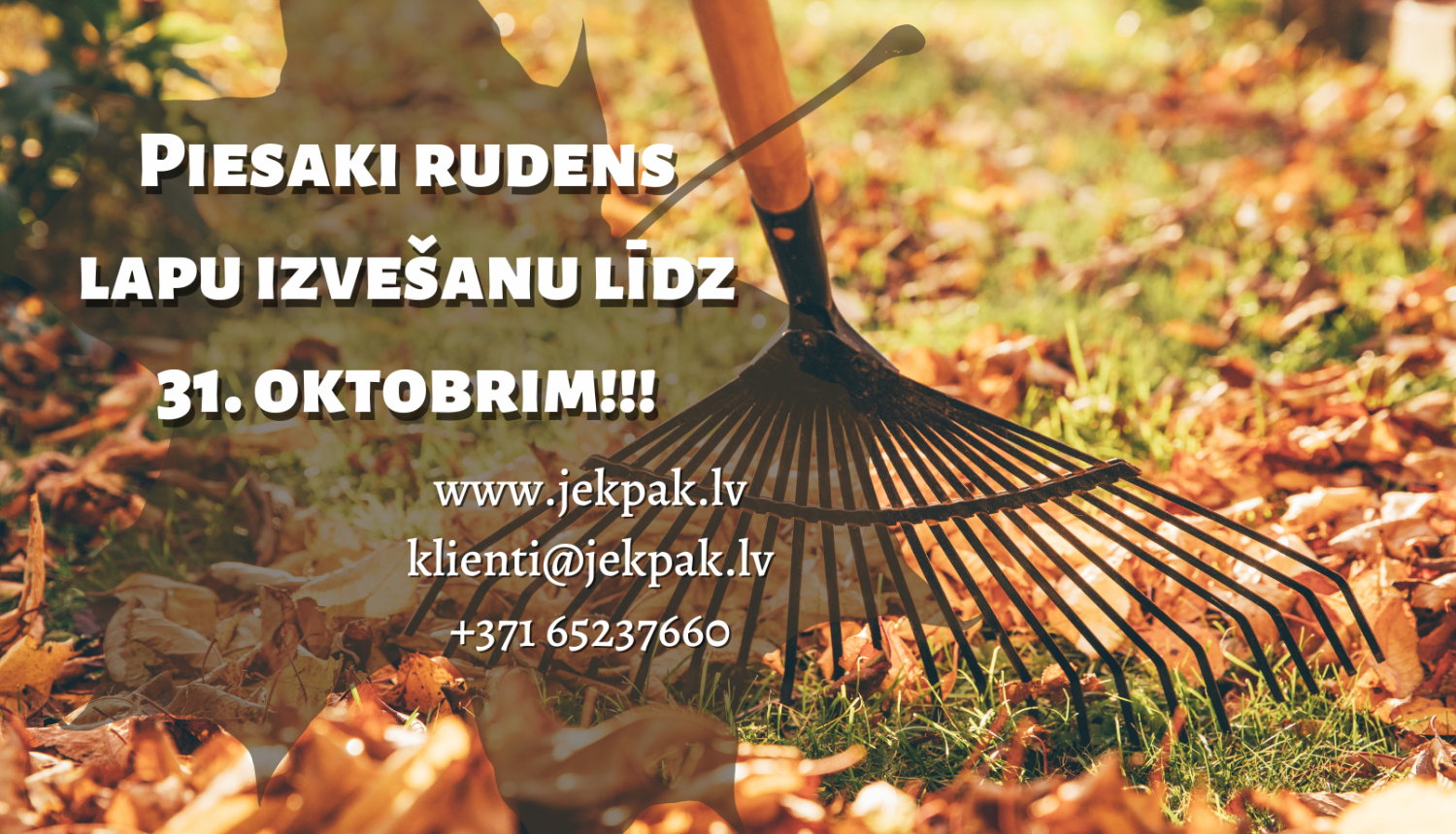 Rudens lapas