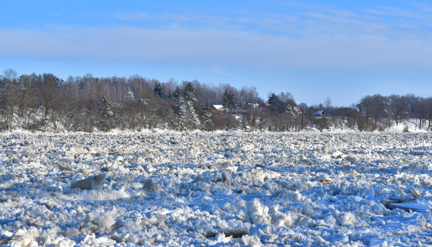 Daugava 