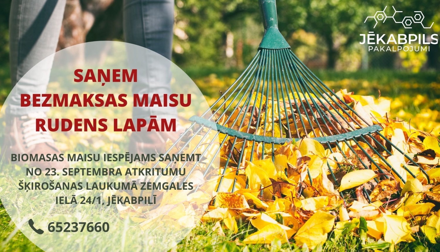MAisi lapām