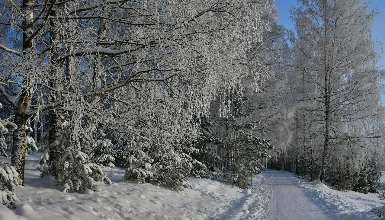 Mežaparks