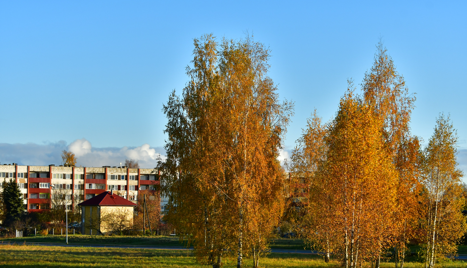 Māja