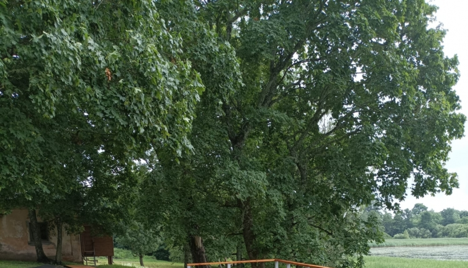 Marinzejas parks
