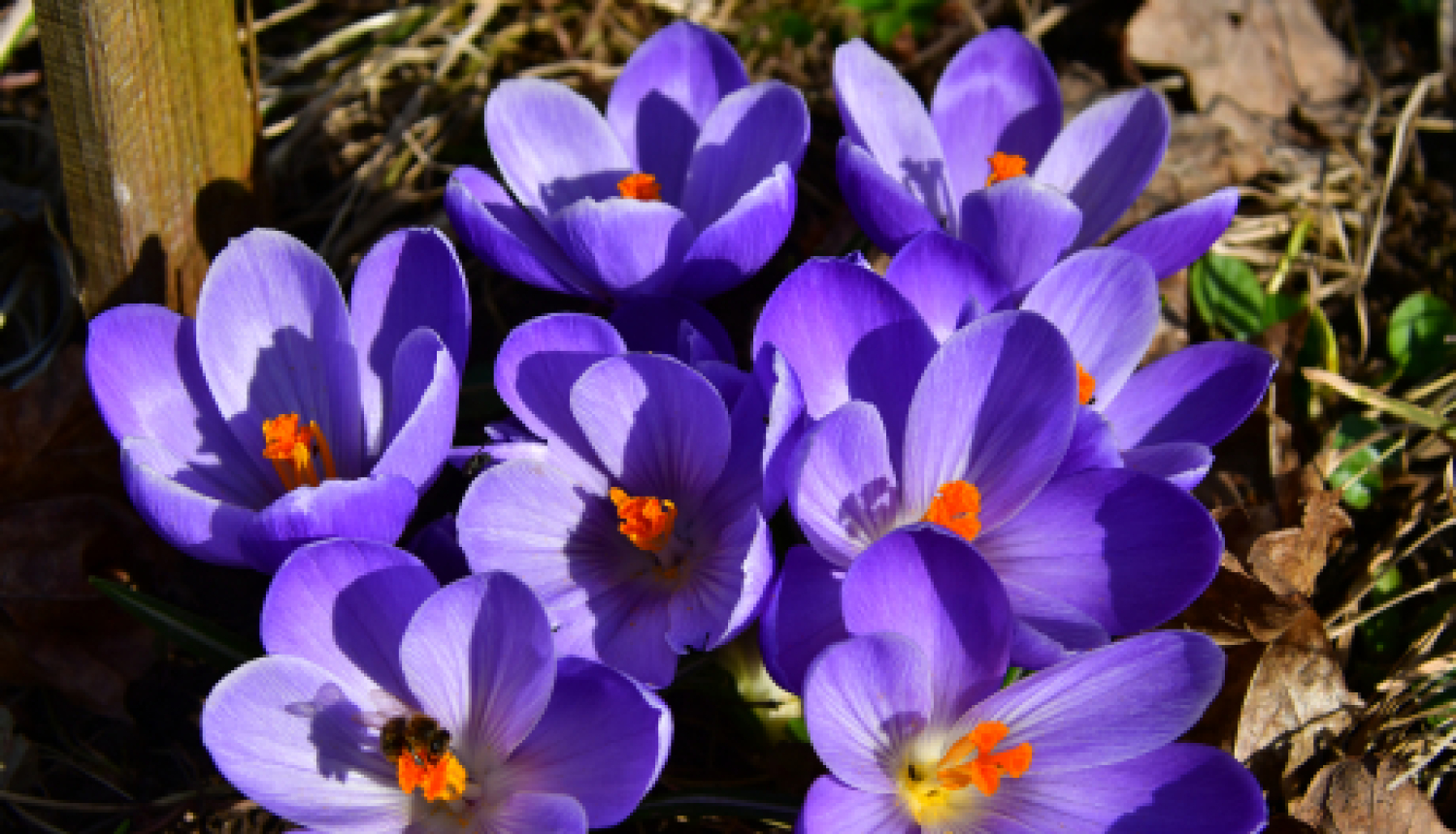 Pašvaldības nedēļas plāns 12.04.-18.04. 