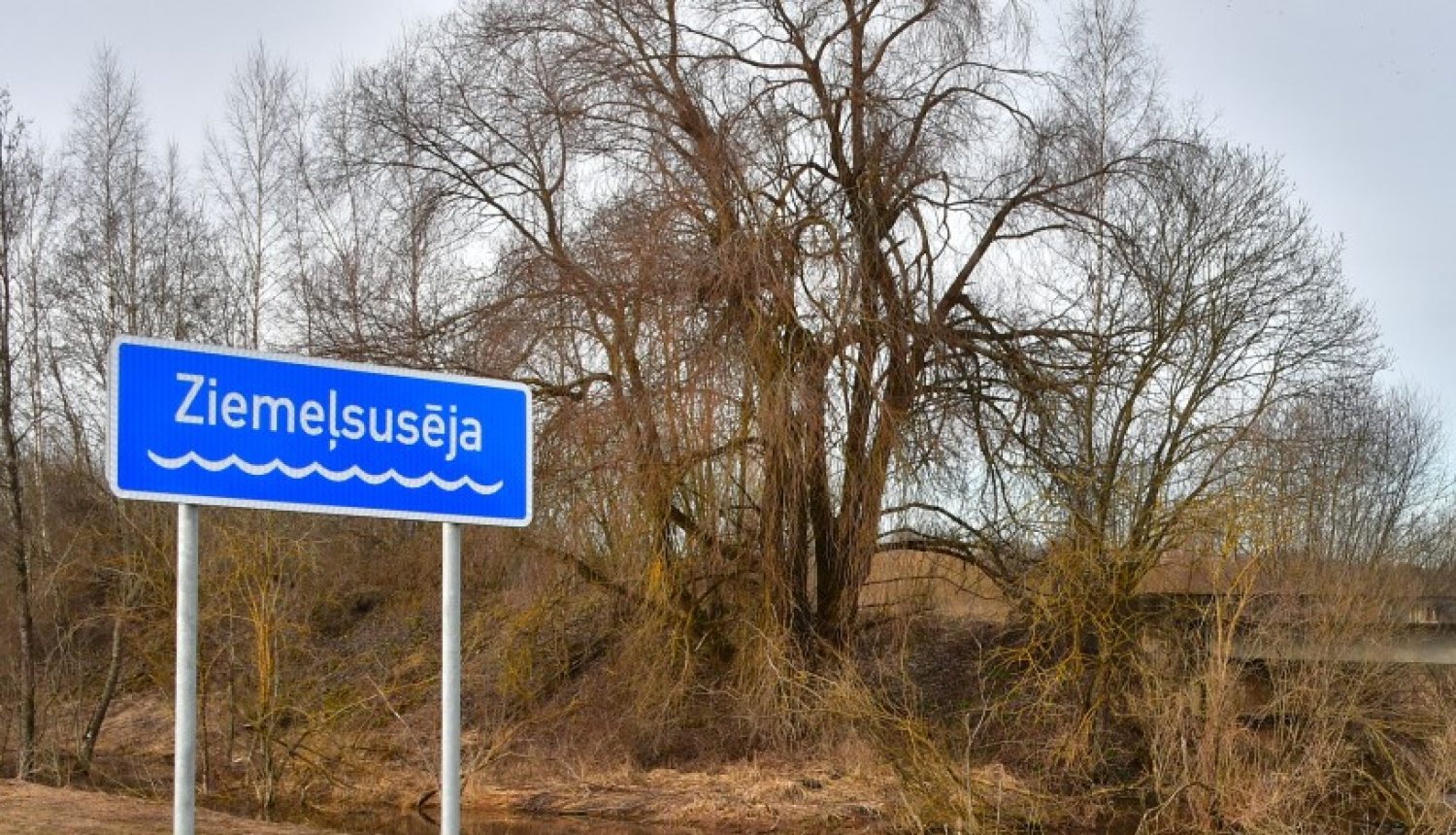 Ziemeļsusēja