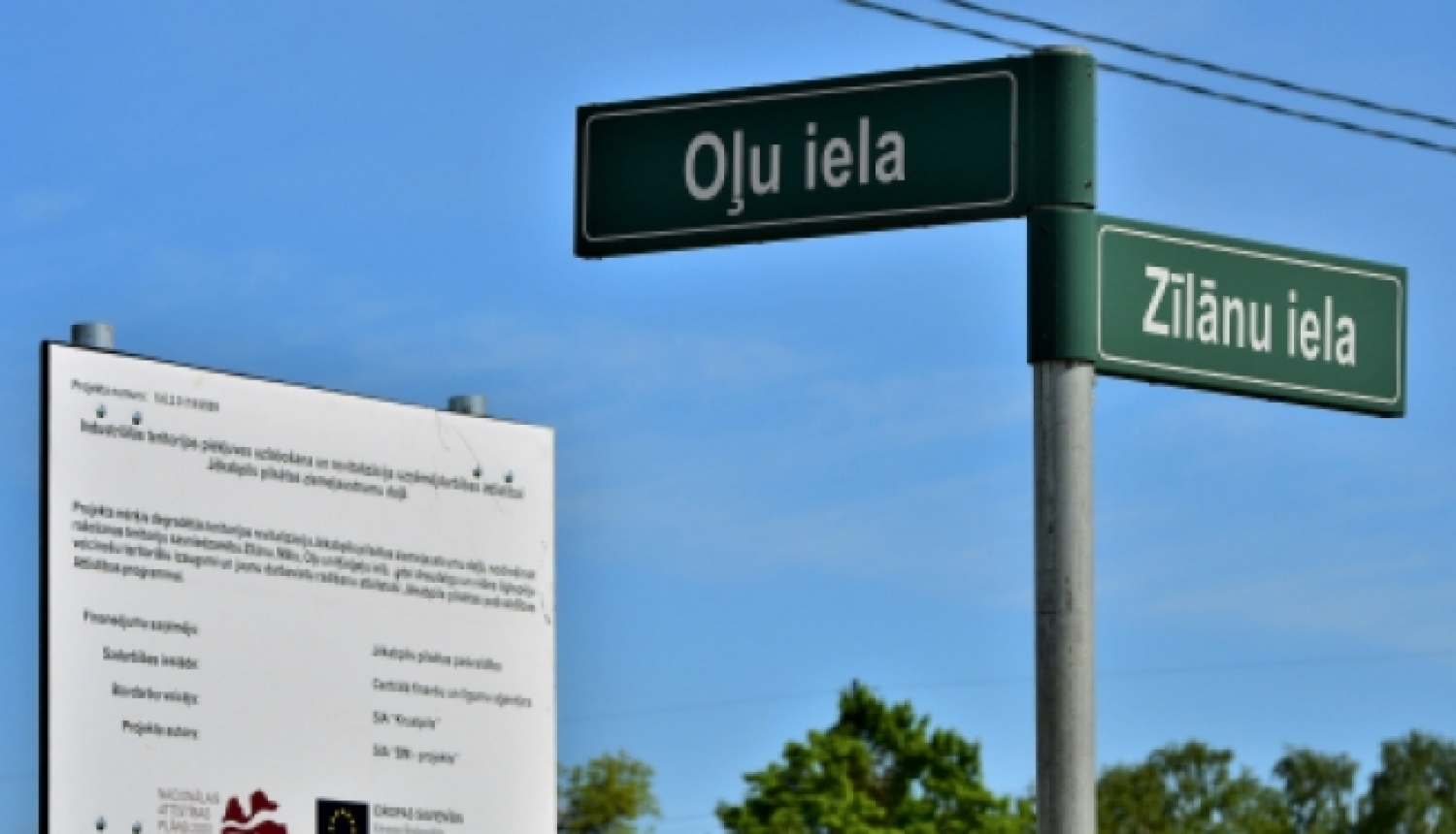 Oļu iela