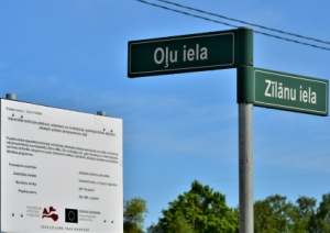 Oļu iela