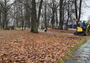 Uzsākti Strūves parka labiekārtojuma pārbūves darbi