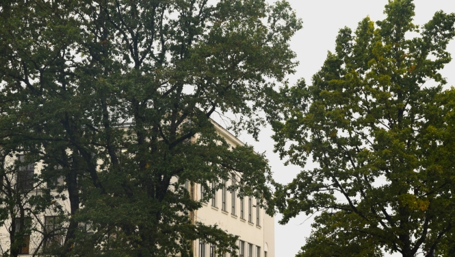 Aknīstes vidusskola