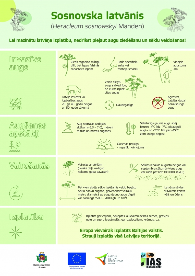 Infografika par latvāni